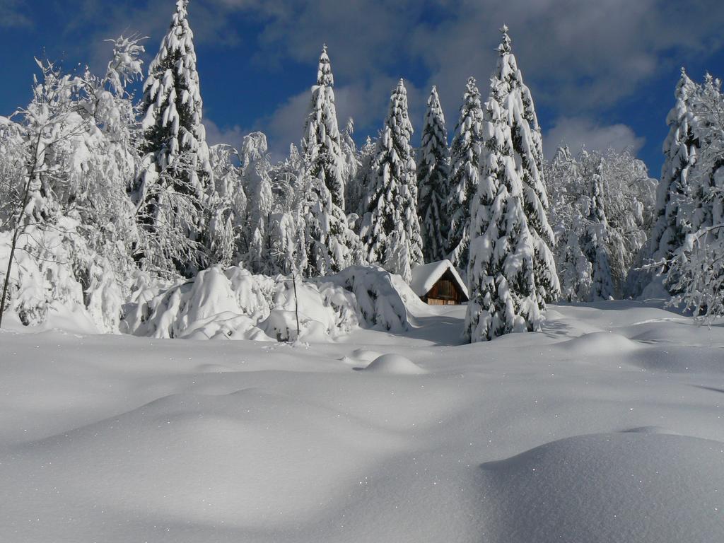 Hiska Henrik Zalokar Bohinj Exterior foto