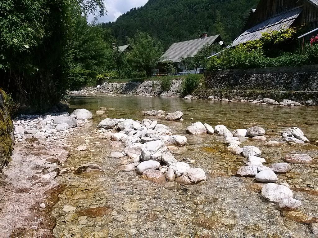 Hiska Henrik Zalokar Bohinj Quarto foto
